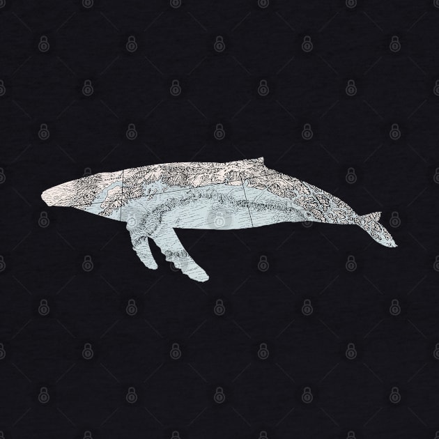 Humpback Whale cut from map of Alaska Coastline by tsd-fashion